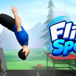 Flip Spot