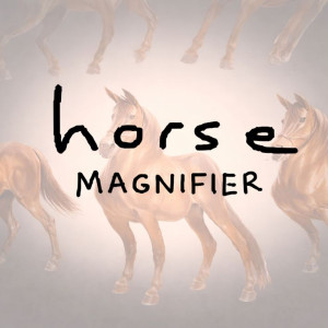 Horse Magnifier