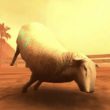 Crazy Cattle 3D +