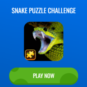 Snake Puzzle Challenge