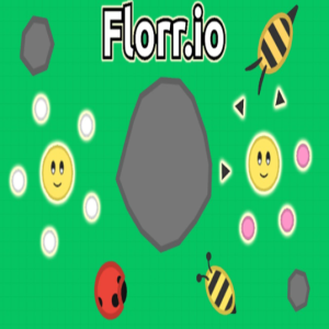 Florr io