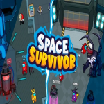 Space Survivor